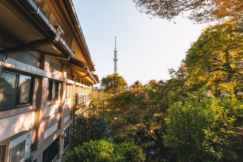 🏯 마츠치야마 혼류인 (마츠치야마 쇼덴) 이미지 5